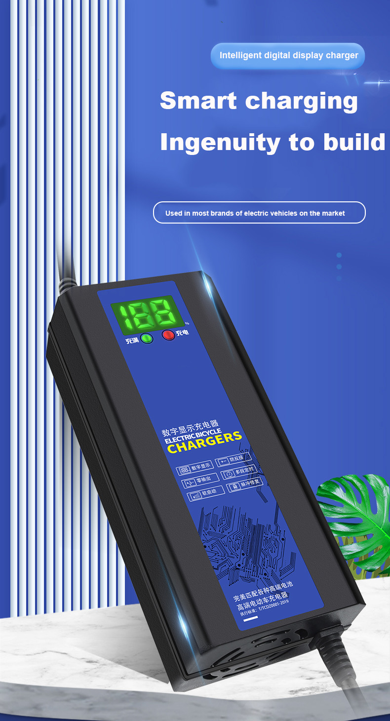 Factory Wholesale Lead Acid Chargers With Multiple Models Of Lcd Display