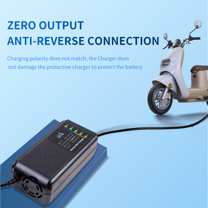 HOT SELLING Five Light Display Charger Lead Acid Charger 