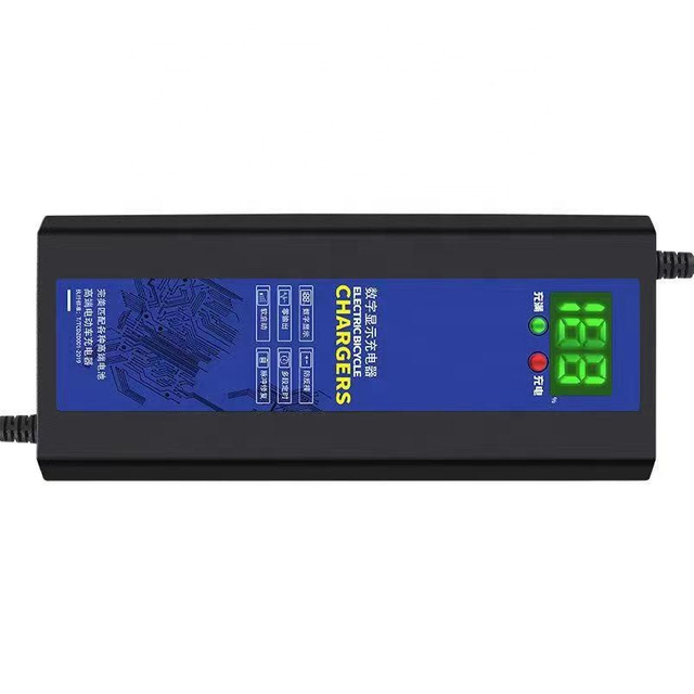 Factory Wholesale Lead Acid Chargers With Multiple Models Of Lcd Display
