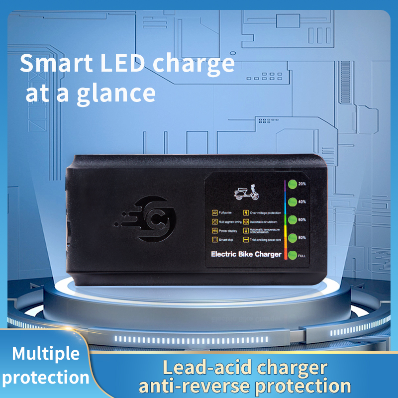 HOT SELLING Five Light Display Charger Lead Acid Charger 